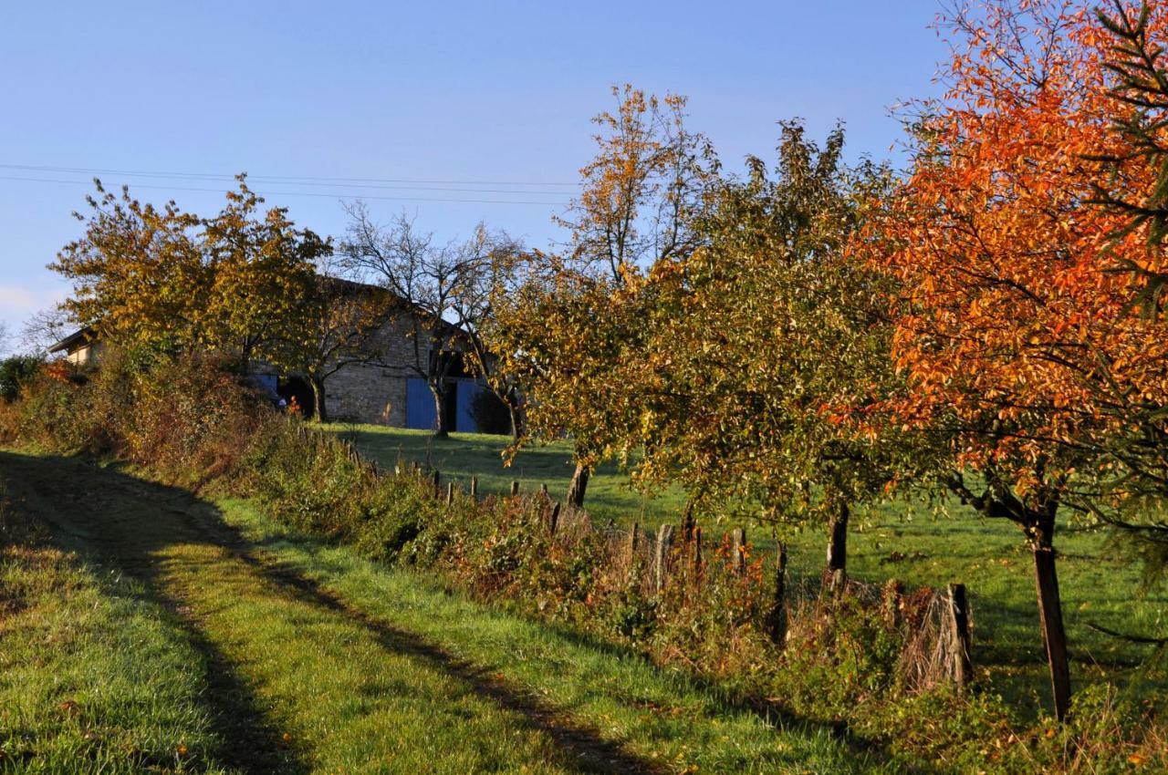 Terres De La Grange Bed & Breakfast Cuisiat Exterior photo